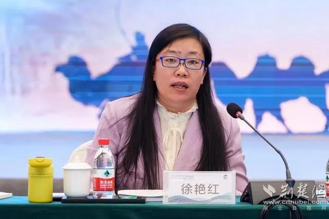 文物局副局长林文珍河南省文物局副局长张慧明湖北省文物局文保处处长